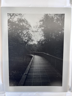 we the wayfinders - bushturkey ahead!, 2023, silver gelatin prints