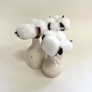 vases with cotton flowers, 2023, Ceramics, cotton