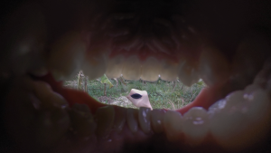 mouthbreather, 2023, Single channel video, 4K, 13'26