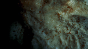 There's no escaping the endless spiral (screenshot 2), 2024, video