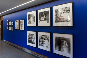 Catrin Jennings, New Contemporaries, 2024, installation Photo: Document Photography