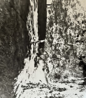 Analog Pixels, 2024, Photography