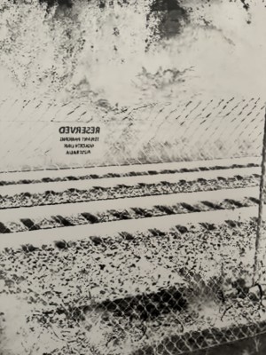 Analog Pixels, 2024, Photography