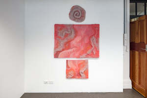 Daisy Chen, New Contemporaries, 2024, installation Photo: Document Photography