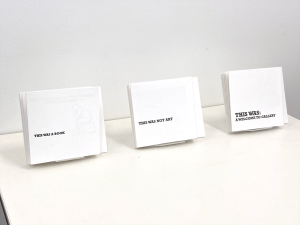 This Was..., 2023 - 2024, Screen-printed Book