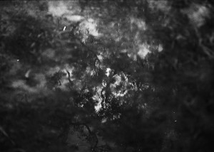it's chewing, 2024, mixed media incorporating film photography, screen print, and sound.