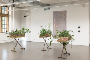 Shelley Watters, New Contemporaries, 2024, installation Photo: Document Photography