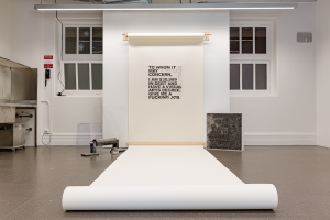 Teeya Ryan, New Contemporaries, 2024, installation Photo: Document Photography