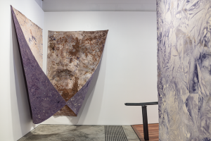 Tess Bible, New Contemporaries, 2024, installation Photo: Document Photography