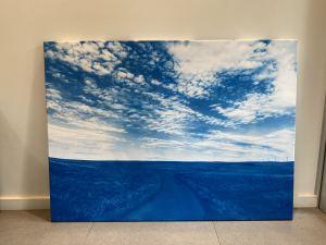 One Road, 2024, Incyanotype on cotton poplin