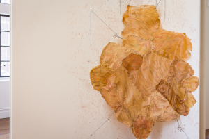 Aleena Tayyab, New Contemporaries, 2025, installation Photo: Document Photography
