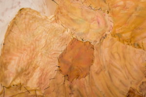 Aleena Tayyab, New Contemporaries, 2025, installation Photo: Document Photography