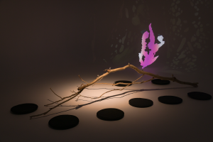 Alexandra Angus, New Contemporaries, 2025, installation Photo: Document Photography