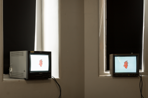 Amy Hayes, New Contemporaries, 2025, installation Photo: Document Photography