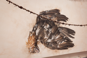 Anna Betts, New Contemporaries, 2025, installation Photo: Document Photography