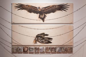 Anna Betts, New Contemporaries, 2025, installation Photo: Document Photography