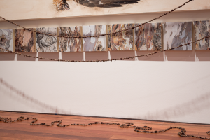 Anna Betts, New Contemporaries, 2025, installation Photo: Document Photography