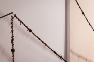 Anna Betts, New Contemporaries, 2025, installation Photo: Document Photography