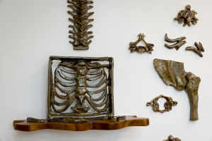 Antonia Tomkins, New Contemporaries, 2025, installation Photo: Document Photography