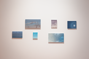 Chelsea Steele, New Contemporaries, 2025, installation Photo: Document Photography