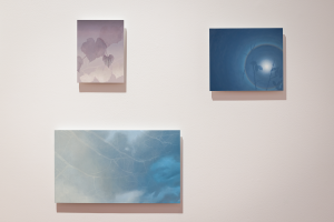 Chelsea Steele, New Contemporaries, 2025, installation Photo: Document Photography