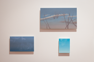 Chelsea Steele, New Contemporaries, 2025, installation Photo: Document Photography