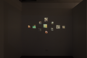 Daniel Xu, New Contemporaries, 2025, installation Photo: Document Photography