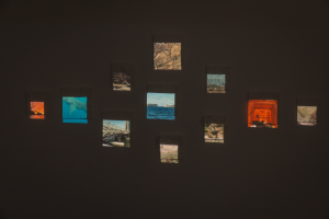 Daniel Xu, New Contemporaries, 2025, installation Photo: Document Photography