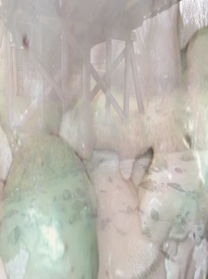 Ella Thompson, Glossy Membrane, photographic print no. 1, 2025