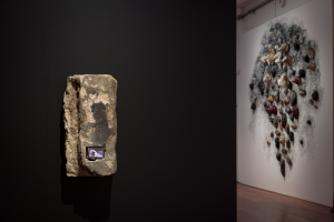 Imogen Kerr, New Contemporaries, 2025, installation Photo: Document Photography