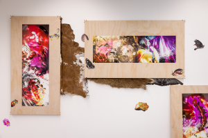 Lara Marie Wilkinson, New Contemporaries, 2025, installation Photo: Document Photography