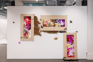 Lara Marie Wilkinson, New Contemporaries, 2025, installation Photo: Document Photography