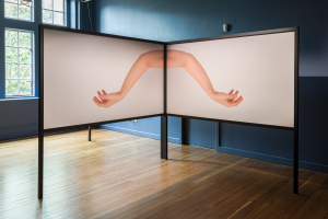 Lile Khajavi, New Contemporaries, 2025, installation Photo: Document Photography