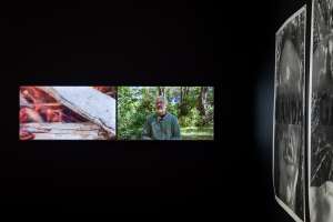 Lily Thomas McKnight, New Contemporaries, 2025, installation Photo: Document Photography