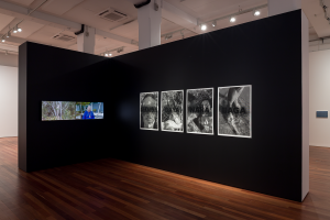 Lily Thomas McKnight, New Contemporaries, 2025, installation Photo: Document Photography