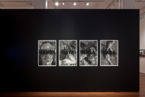 Lily Thomas McKnight, New Contemporaries, 2025, installation Photo: Document Photography