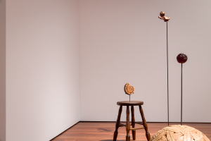 Lily Tsuruko Tucker, New Contemporaries, 2025, installation Photo: Document Photography