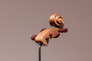 Lily Tsuruko Tucker, New Contemporaries, 2025, installation Photo: Document Photography