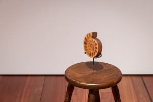 Lily Tsuruko Tucker, New Contemporaries, 2025, installation Photo: Document Photography