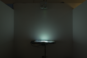 Linnea Jiawen Long, New Contemporaries, 2025, installation Photo: Document Photography