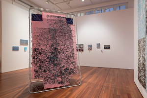 Maya Stocks, New Contemporaries, 2025, installation Photo: Document Photography
