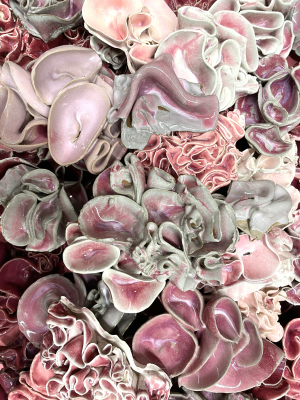 Mikayla Kitto, If your mother never bore you - I would, Ceramics, Textiles