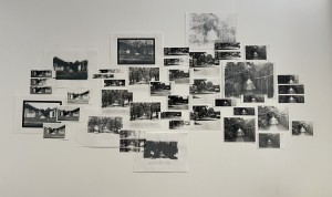Paige Rodman, Butterflies Don't Know My Way. Enlarged film prints, half prints and test strips, halftone screenprints.