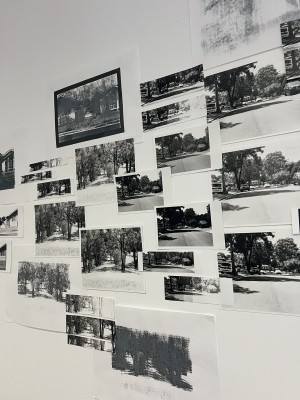 Paige Rodman, Butterflies Don't Know My Way. Enlarged film prints, half prints and test strips, halftone screenprints.