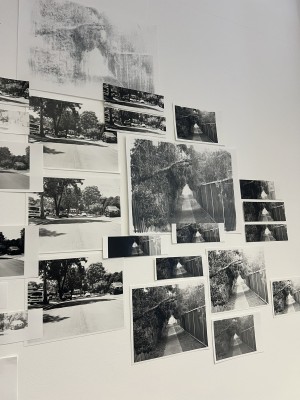 Paige Rodman, Butterflies Don't Know My Way. Enlarged film prints, half prints and test strips, halftone screenprints.