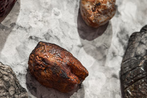 Raymond Huyn, New Contemporaries, 2025, installation Photo: Document Photography