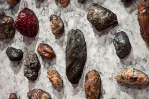 Raymond Huyn, New Contemporaries, 2025, installation Photo: Document Photography