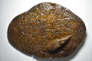 Ruby Goold, A Future Remains, Ceramics