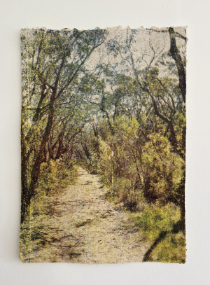 Ruby Rigg-Smith, 'That's Just The Way', silkscreen print on handmade paper, paperbark and recycled cotton paper