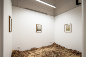 Ruby Rigg Smith, New Contemporaries, 2025, installation Photo: Document Photography